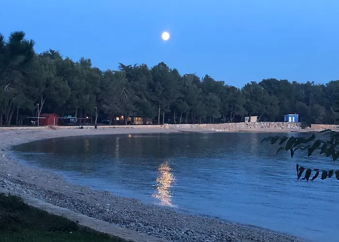 App Sorgo * Novigrad Istria