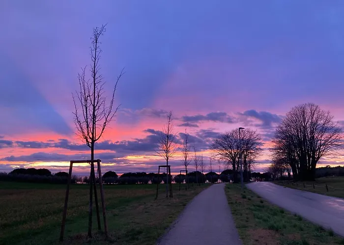 App Sorgo Daire Novigrad Istria