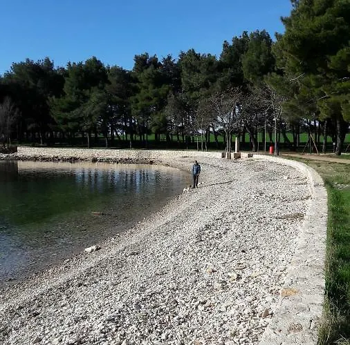 App Sorgo Appartamento Novigrad Istria