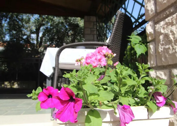 App Sorgo Novigrad Istria