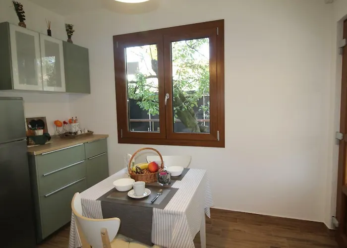 App Sorgo Novigrad Istria