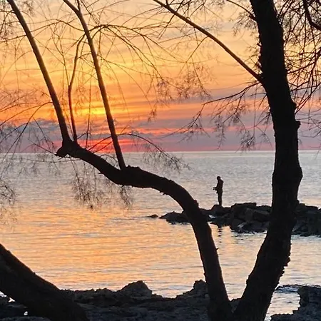 Apartment App Sorgo Novigrad Istria