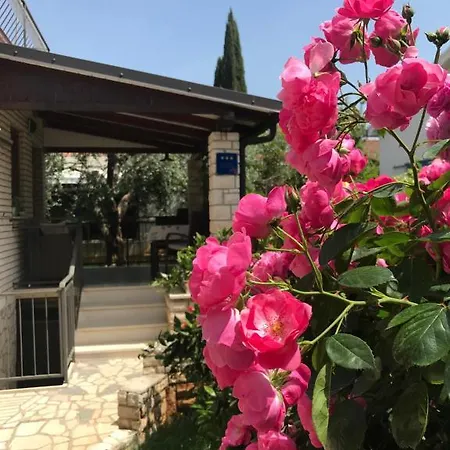 App Sorgo Appartement Novigrad Istria