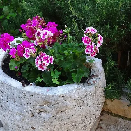 App Sorgo Appartement Novigrad Istria