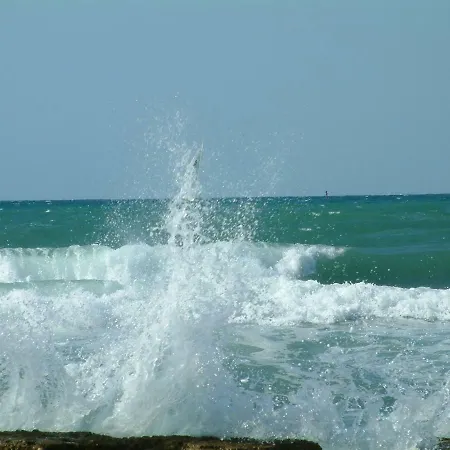 App Sorgo Novigrad Istria