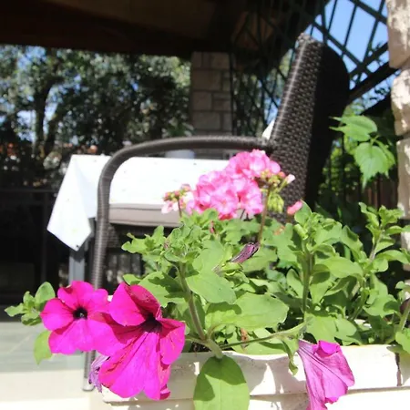 App Sorgo Novigrad Istria