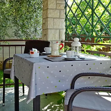 App Sorgo * Novigrad Istria