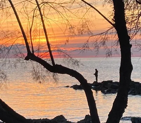 Διαμέρισμα App Sorgo Novigrad Istria