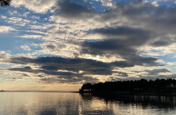 App Sorgo Διαμέρισμα *