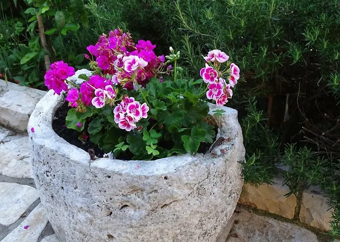 App Sorgo Διαμέρισμα Novigrad Istria