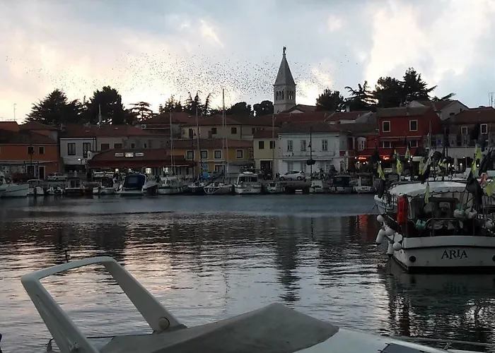 App Sorgo Διαμέρισμα *