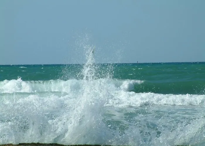 App Sorgo Novigrad Istria